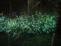 Toledo Zoo Lights 2008 014